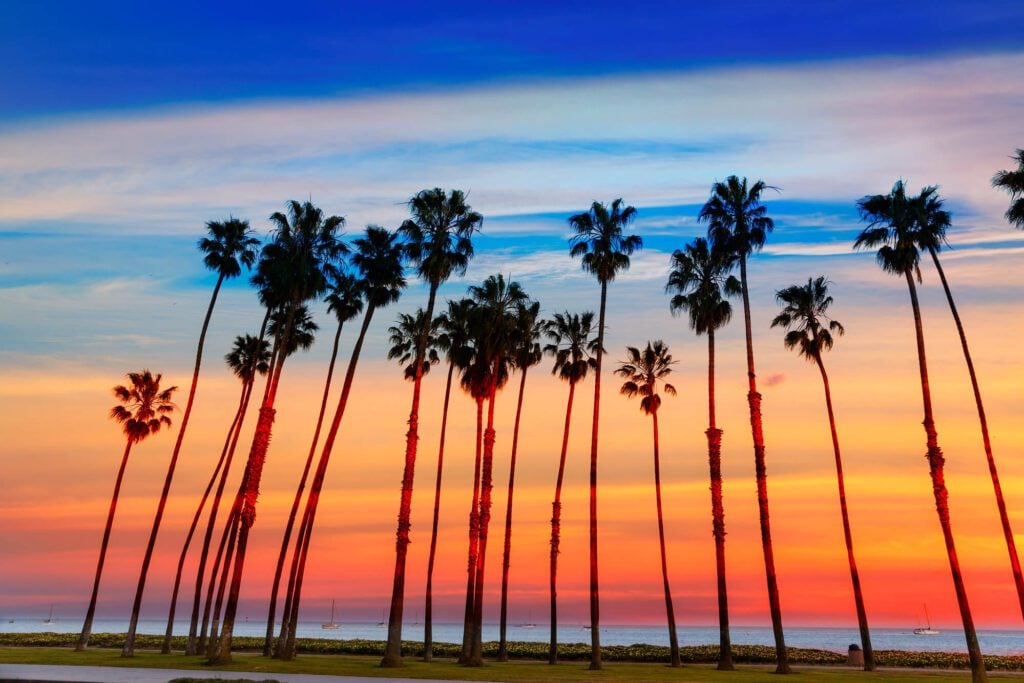 An image showing the Santa Barbara coastline at sunset. It features a beautiful red, orange, and blue sunset, several palm trees and yachts floating in the ocean