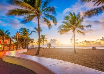 A photo of a Florida beach at sun rise. There are several palm trees in and around the beach. Some buildings and a road can be seen on the far left.