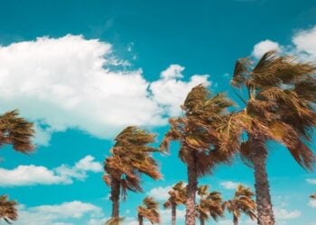 the villages Florida weather