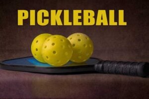 pickleball paddle and balls